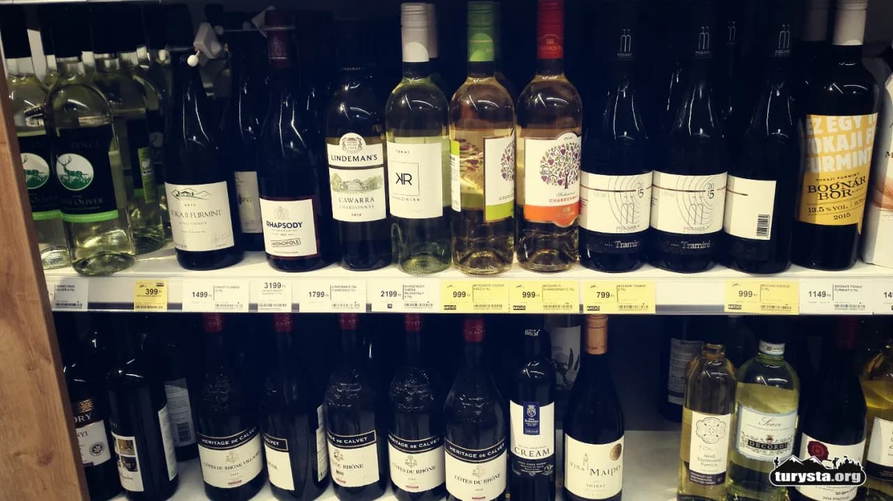 Ile kosztuje obiad na Węgrzech? Ceny w 2024 (HUF i PLN)